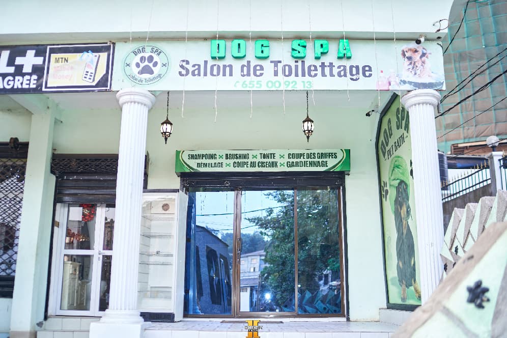 Local | Bastos, Yaoundé