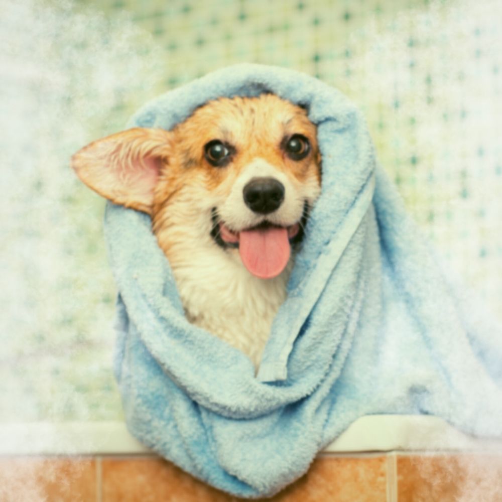 Bain complet